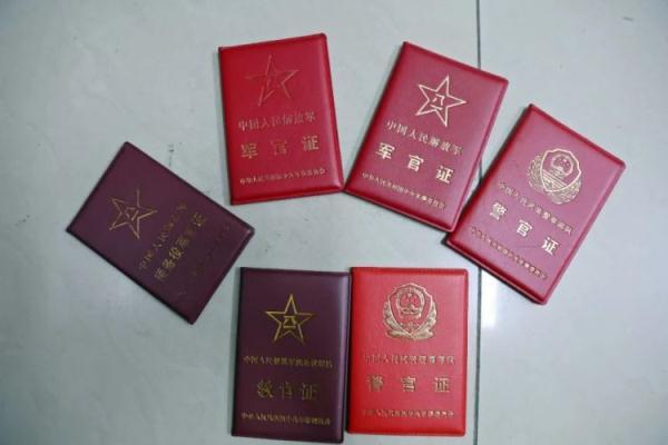 老虎网官网